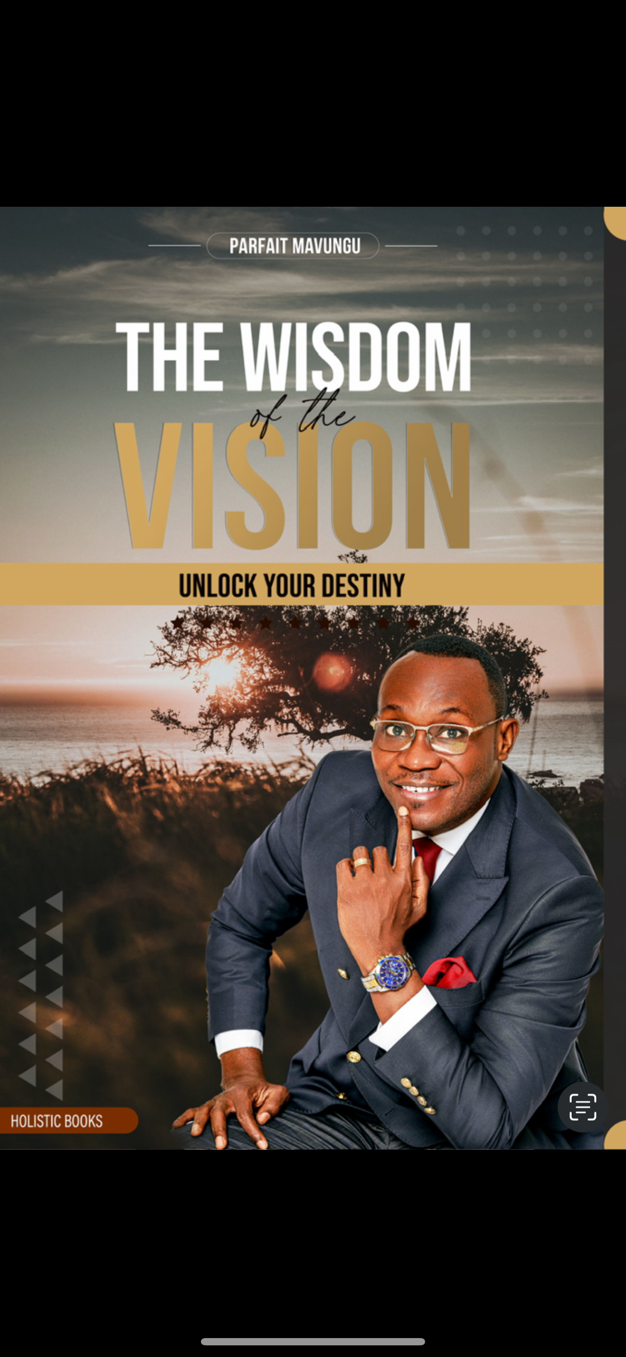 The wisdom of vision